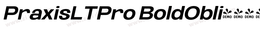 PraxisLTPro BoldObli字体转换